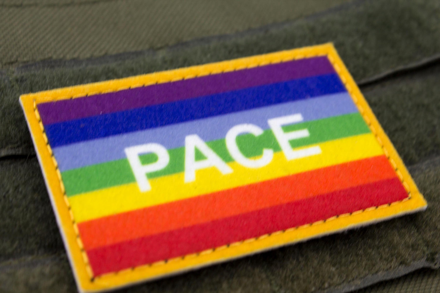 PACE flag hook and loop patch
