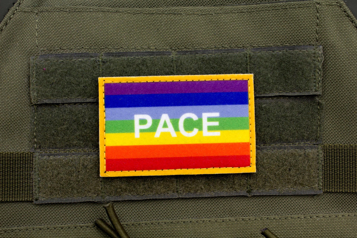 PACE flag hook and loop patch