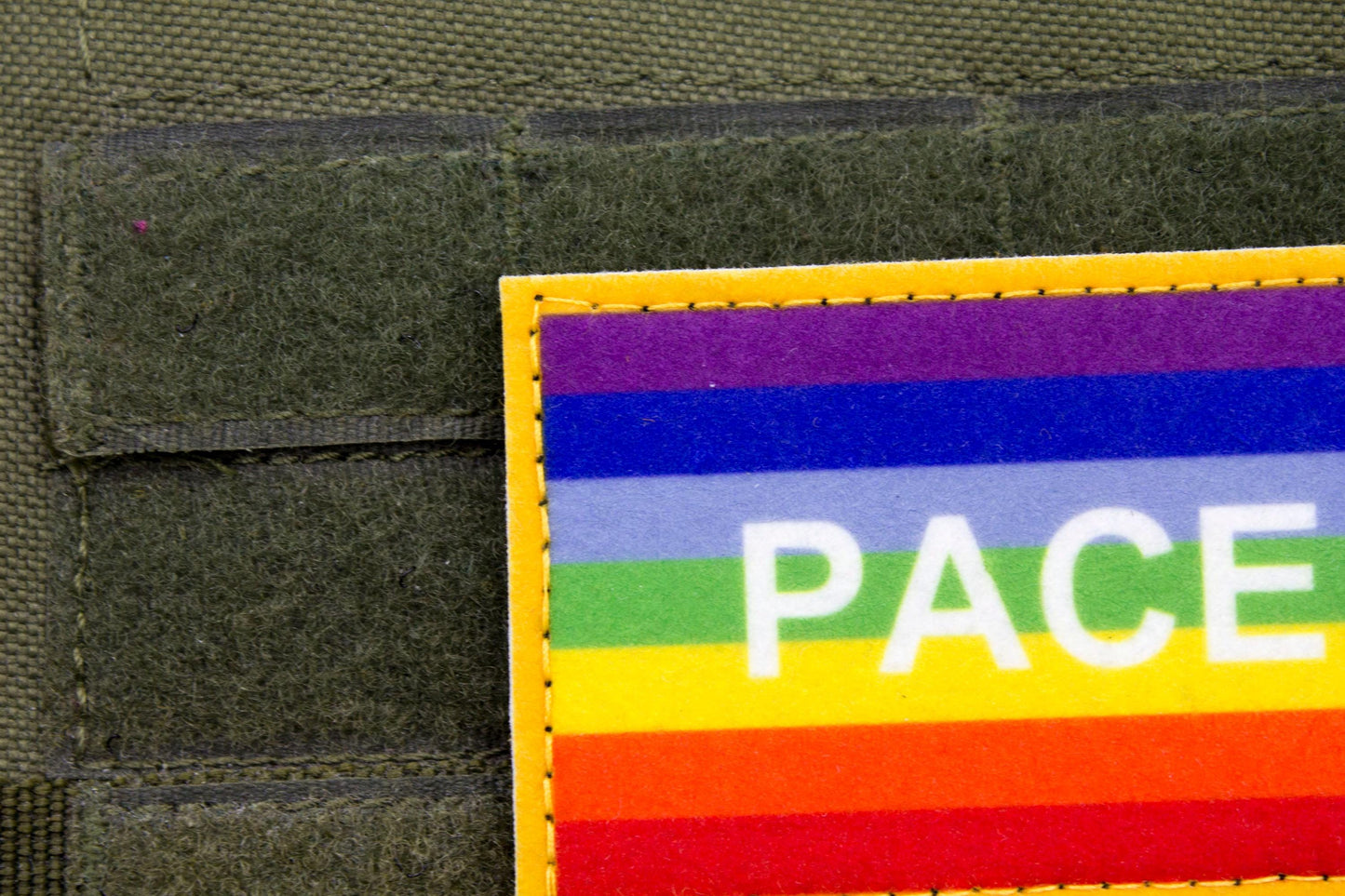 PACE flag hook and loop patch