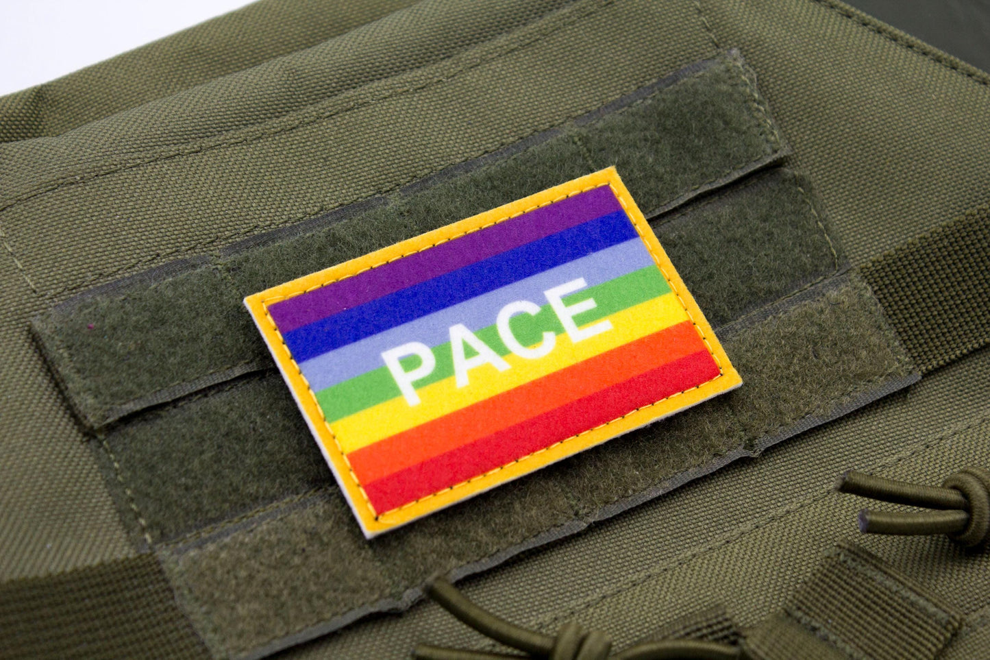 PACE flag hook and loop patch