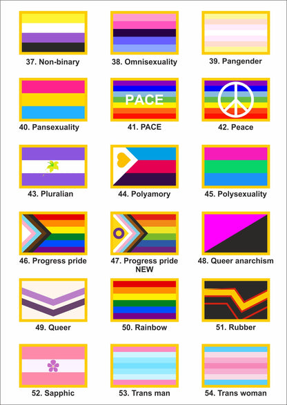 LGBTQ+ flag patches