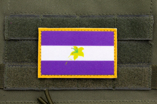 Pluralian LGBT flag hook and loop patch